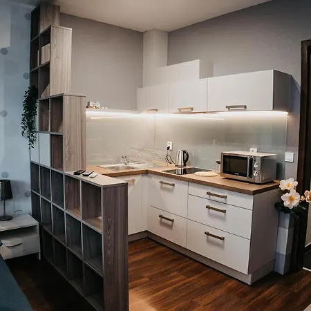 Apartmán Ah Radnica Ii Free Parking *