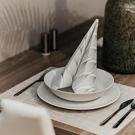 Ah Radnica Ii Free Parking كَشّا